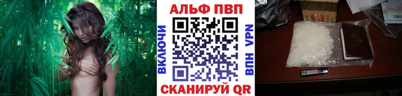 Alfa_PVP крисы CK  OMG онион  Саянск 