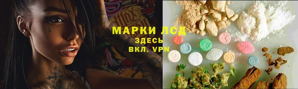 прущие грибы Инта