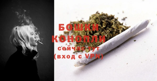 молекула духа Лиски