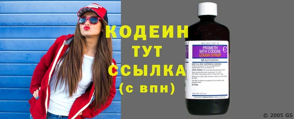 индика Заволжск