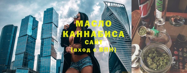 гидра Инсар