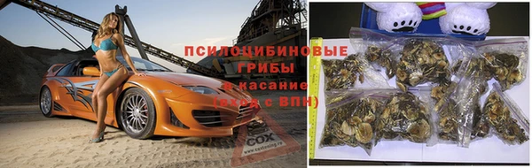 мет Липки