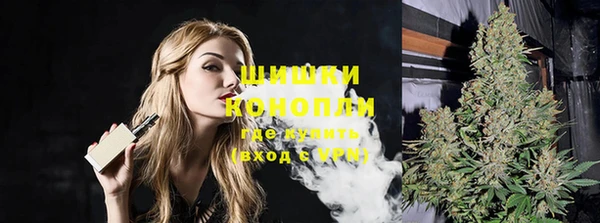 индика Заволжск