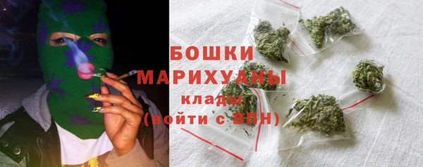индика Заволжск