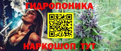 mdma Кингисепп