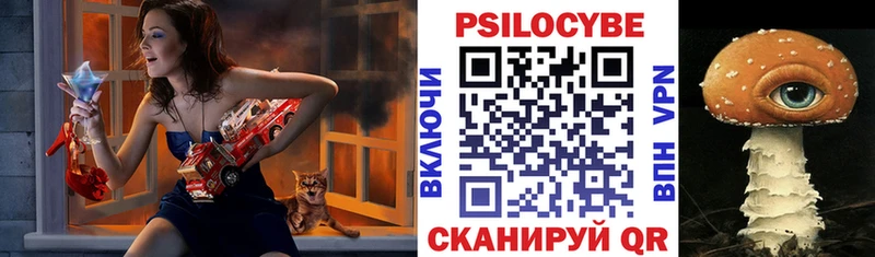 Галлюциногенные грибы Psilocybine cubensis Саянск
