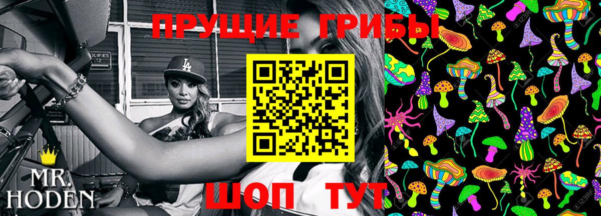 Саянск  Галлюциногенные грибы Cubensis  Вход с VPN 